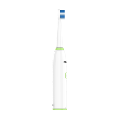 Battery Powered IPX6 Waterproof White Adult Electric Tooth Brush